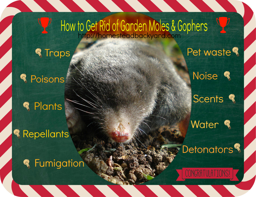 Moles and Gophers